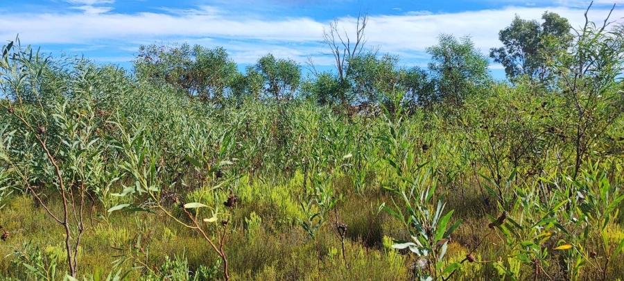 0 Bedroom Property for Sale in Franskraal Western Cape